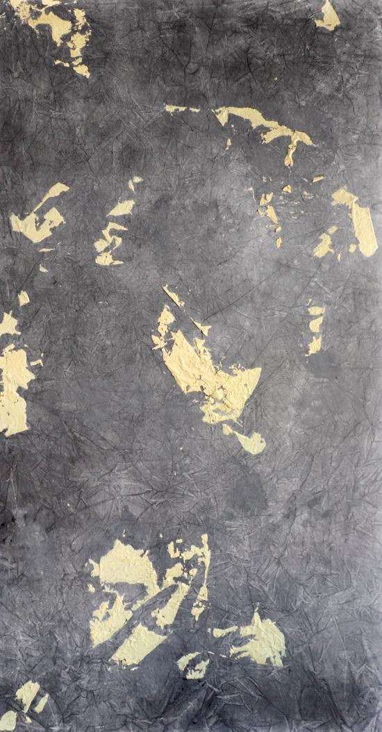 Dissolution — vue 8