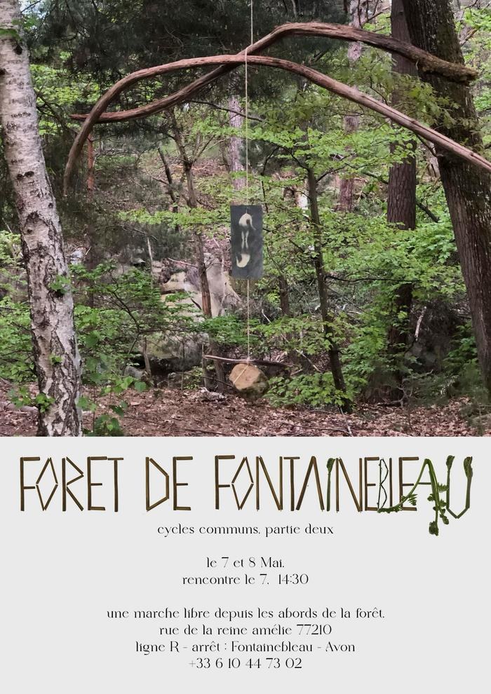 Porosité de l’arbre couché — vue 3
