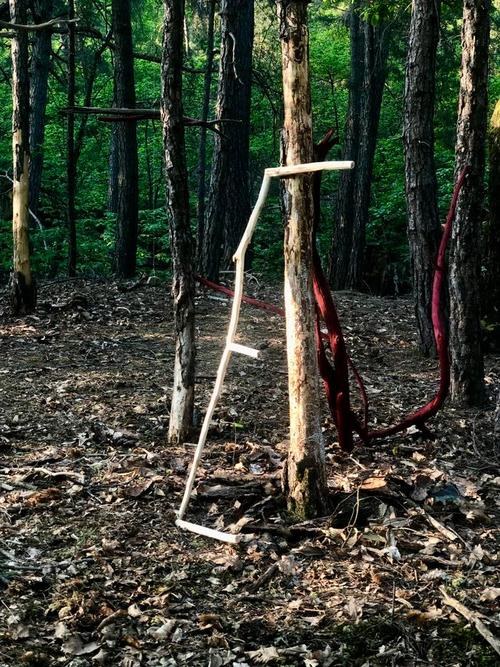 Porosité de l’arbre couché — vue 5