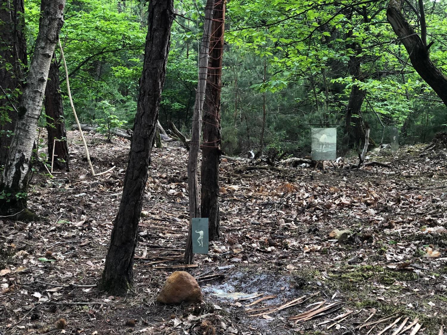 Porosité de l’arbre couché — vue 6