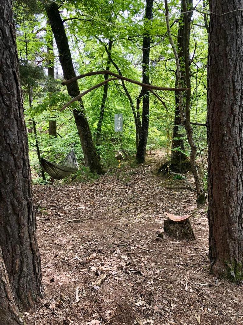 Porosité de l’arbre couché — vue 7