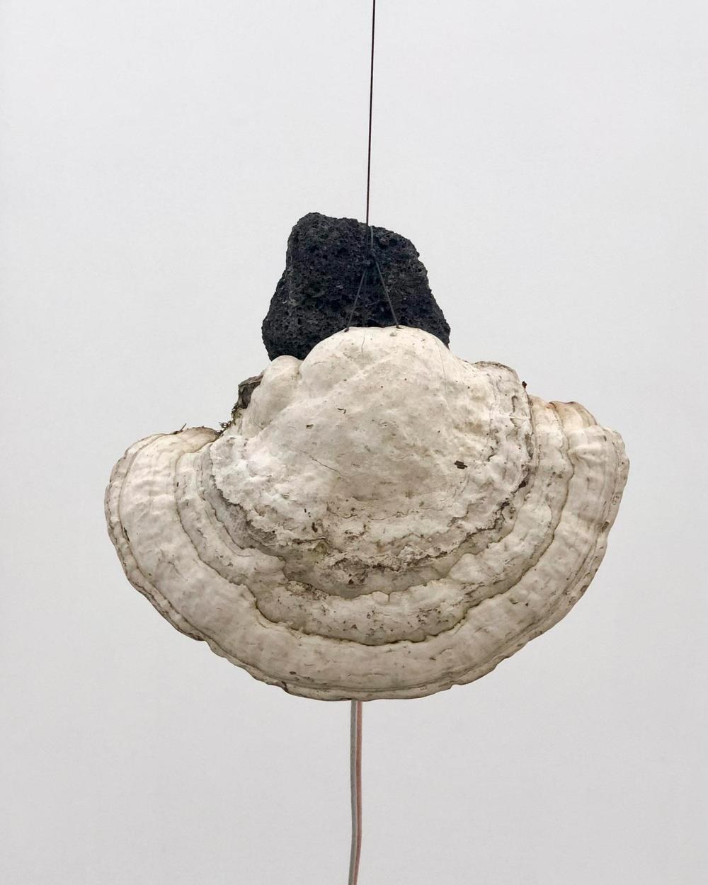 Porosité — vue 9