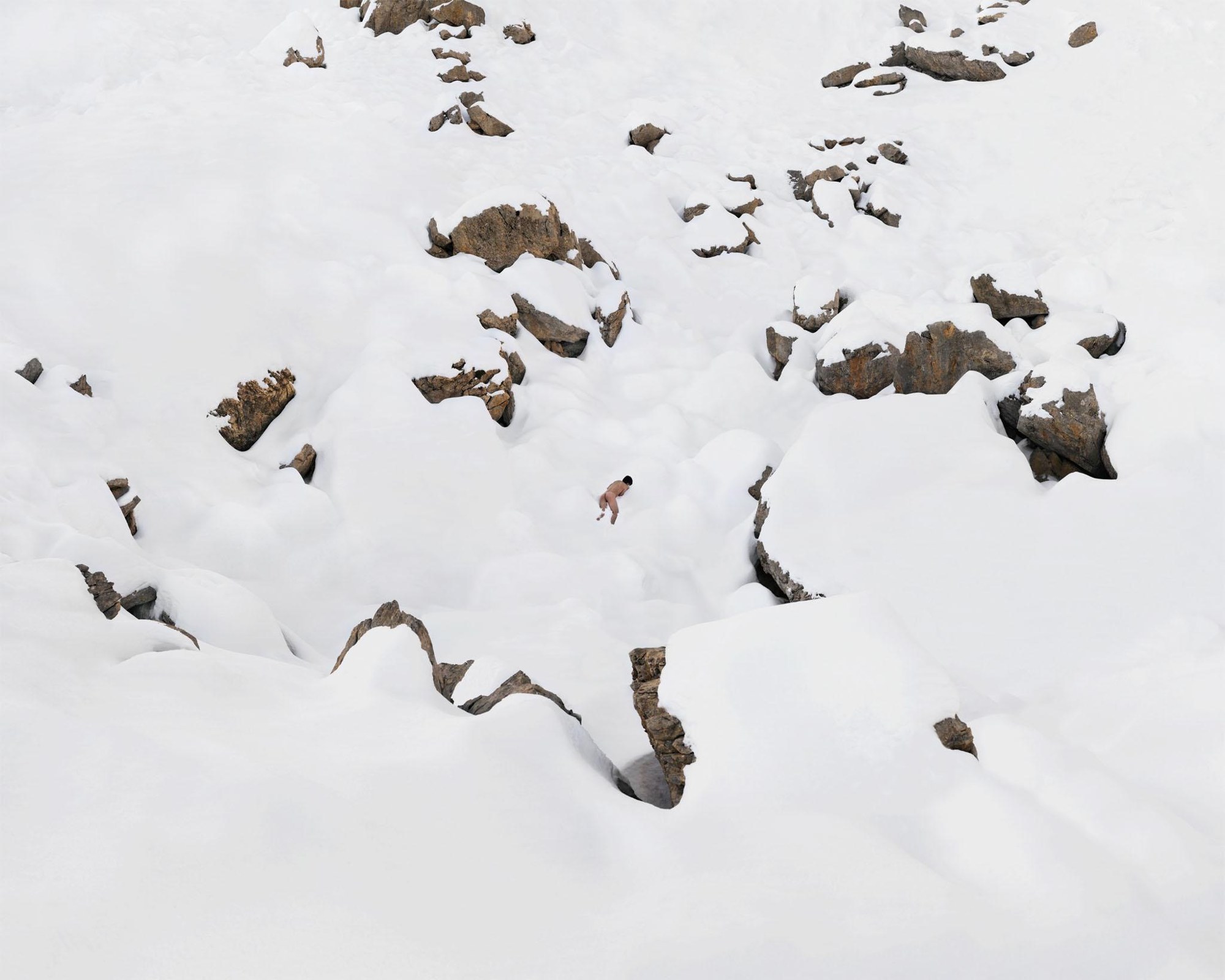 Primates — vue 11