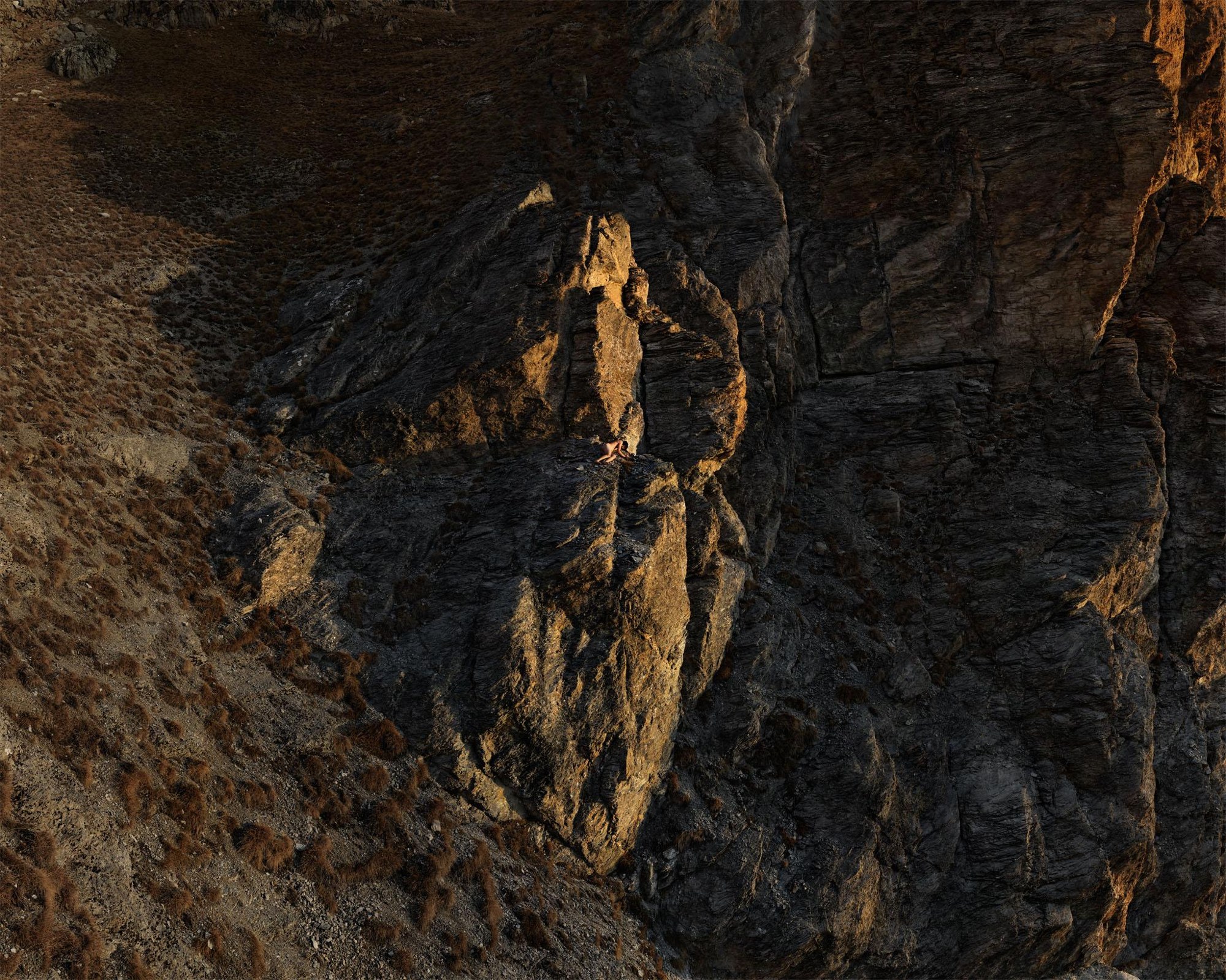 Primates — vue 13