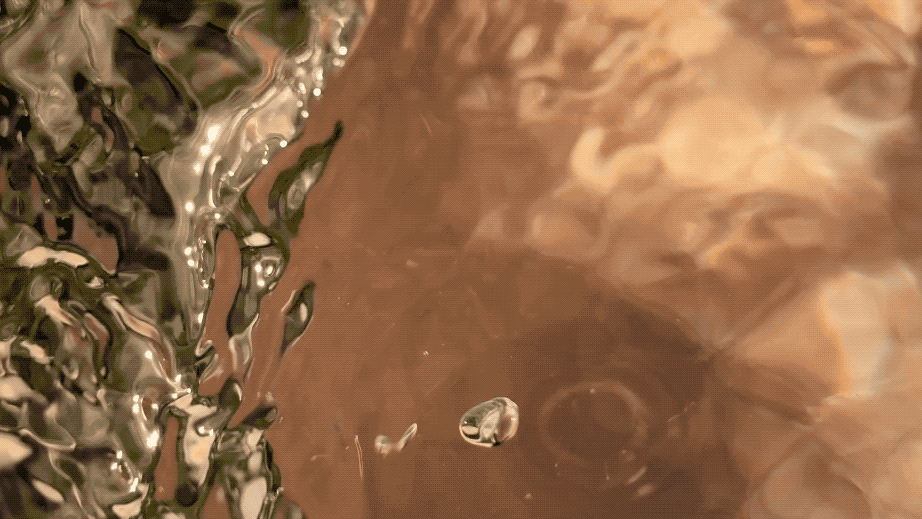 Regarde regarde l’eau qui boit tout — vue 10