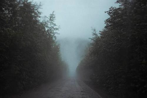 Sharing Paths — vue 16