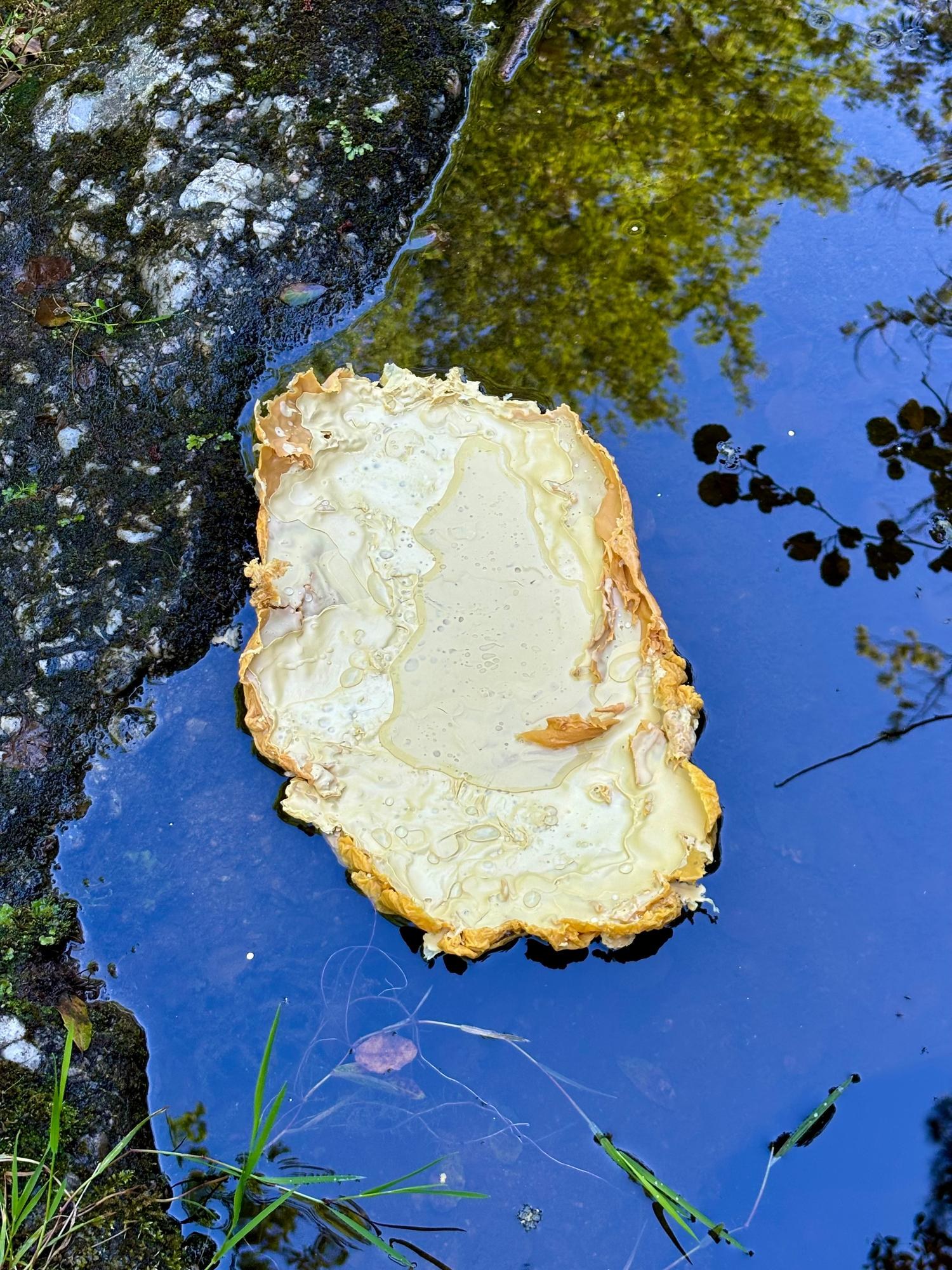 Tu souffles tes strates sur toutes les mers — vue 9